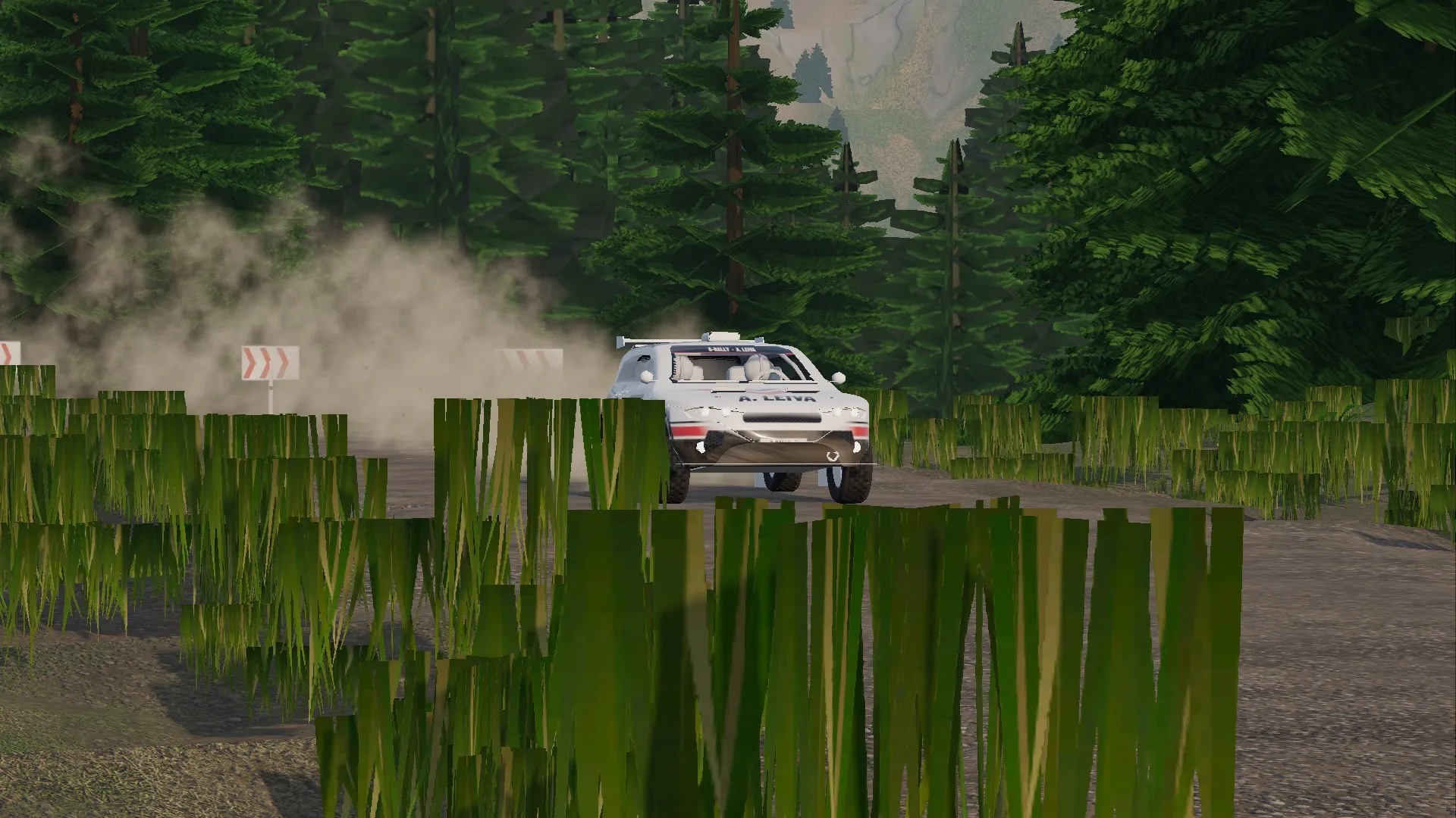 Bosque, grava y polvo. El primer rally.