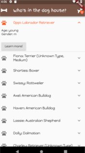 Dogs list with ExpansionTile - Lara Martin DroidKast.